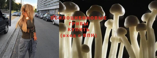 apvp Алексеевка