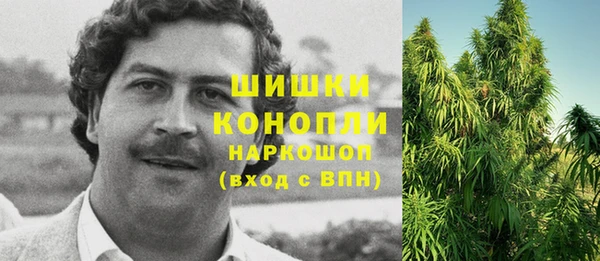 PSILOCYBIN Абдулино