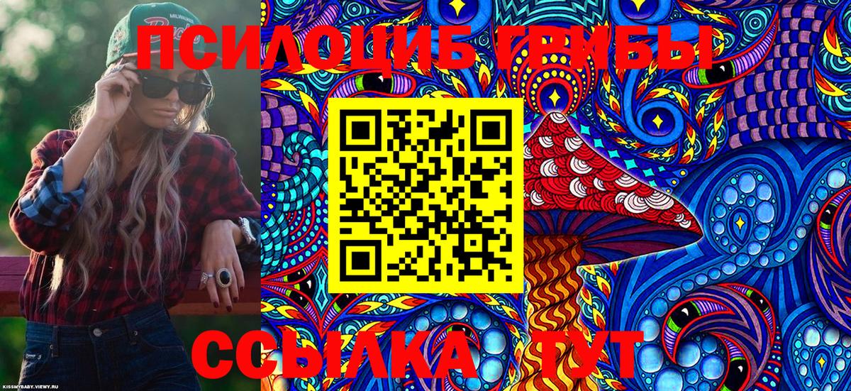 Псилоцибиновые грибы Psilocybine cubensis Камышлов