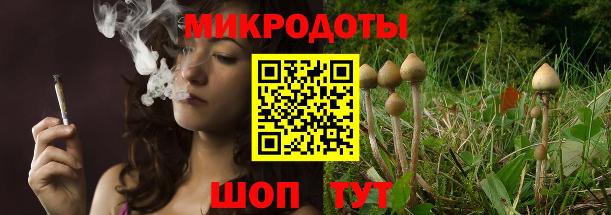 Псилоцибиновые грибы Cubensis  Вход с VPN  Камышлов 